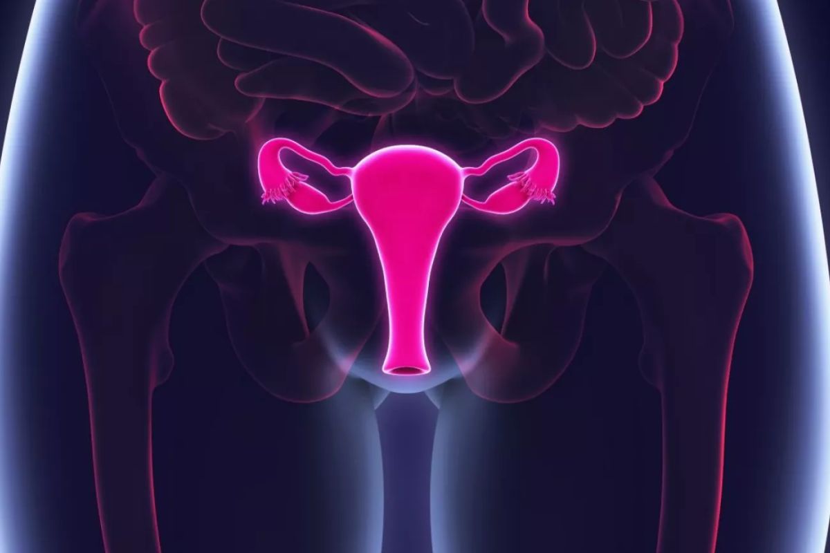El de endometrio es uno de los cánceres ginecológicos más frecuentes en el mundo. Foto: DM. 