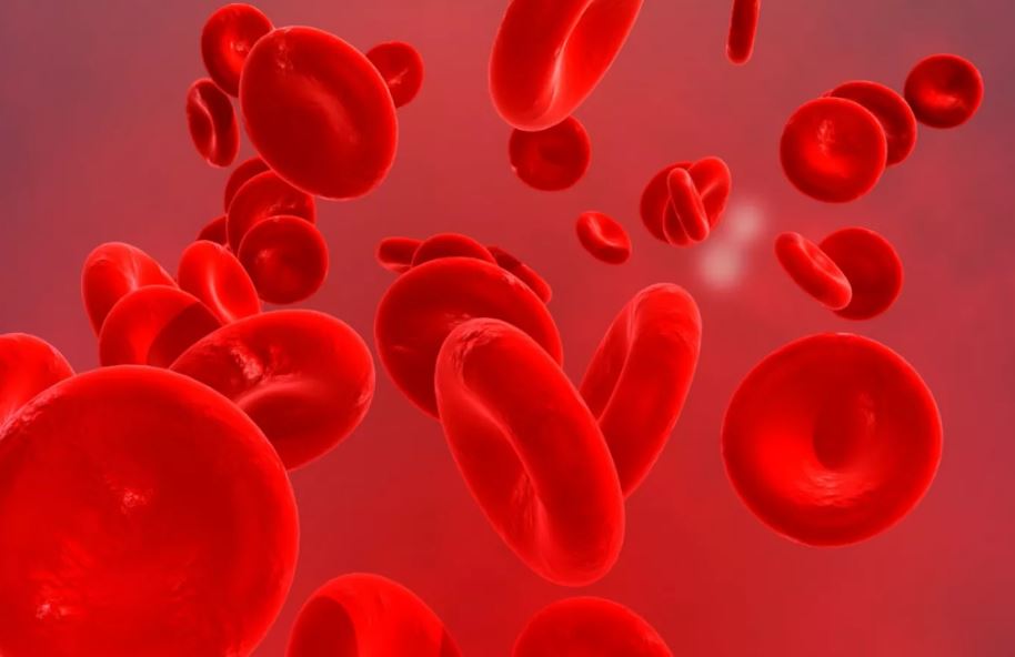 Un estudio comparativo demostró la superioridad de pegcetacoplán frente a eculizumab en el aumento de los niveles de hemoglobina. 