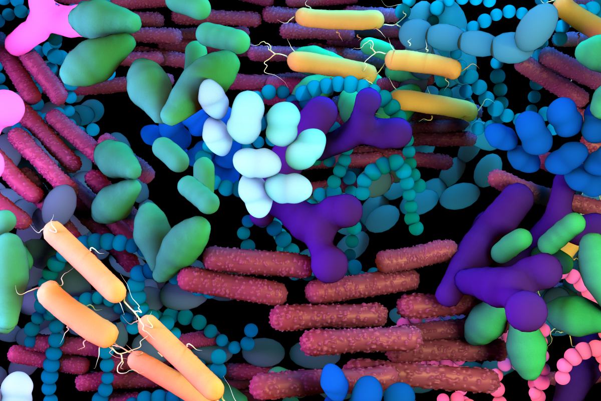 La microbiota es un importante componente del sistema inmunitario. Foto: SHUTTESTOCK. 
