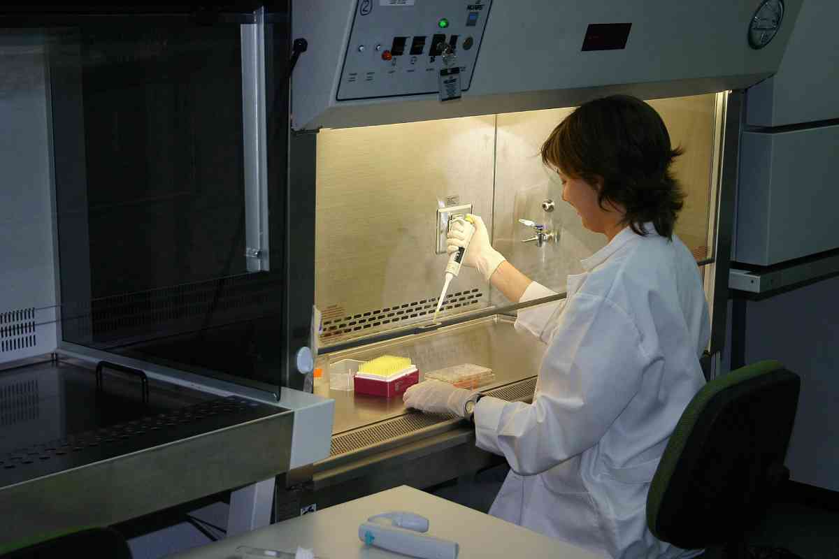 Una investigadora en un laboratorio del CSIC. Foto: EL MUNDO. 