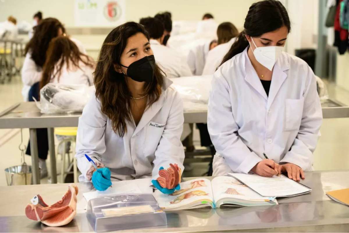 Dos estudiantes de Medicina hacen prácticas en la sala de disección de la Facultad de la Universidad Autónoma de Madrid (UAM). Foto: MAURICIO SKRYCKY. 