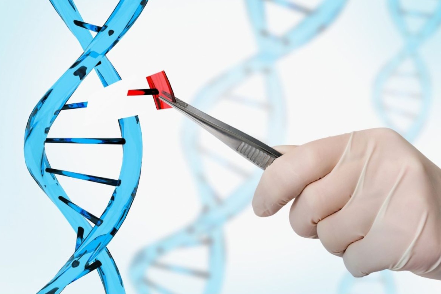 La tecnología CRISPR-Cas9 se emplea en la edición genética. Foto: DM. 