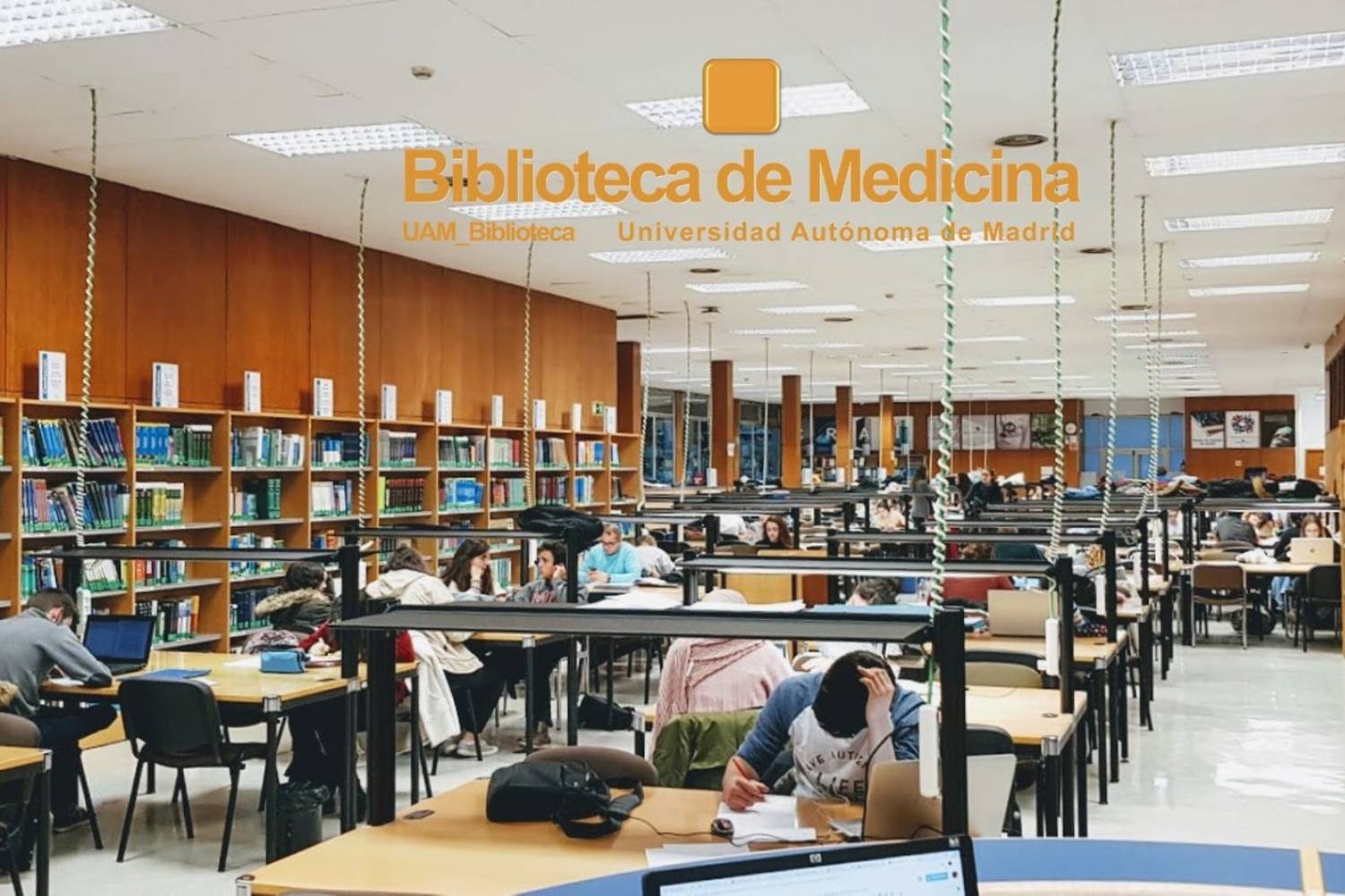 Estudiantes de Medicina preparan un examen en la biblioteca de la Universidad Autónoma. Foto: UAM.