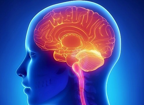 Una terapia neuroprotectora podría permitir detener o ralentizar el proceso neurodegenerativo. Imagen: DIARIO MÉDICO. 