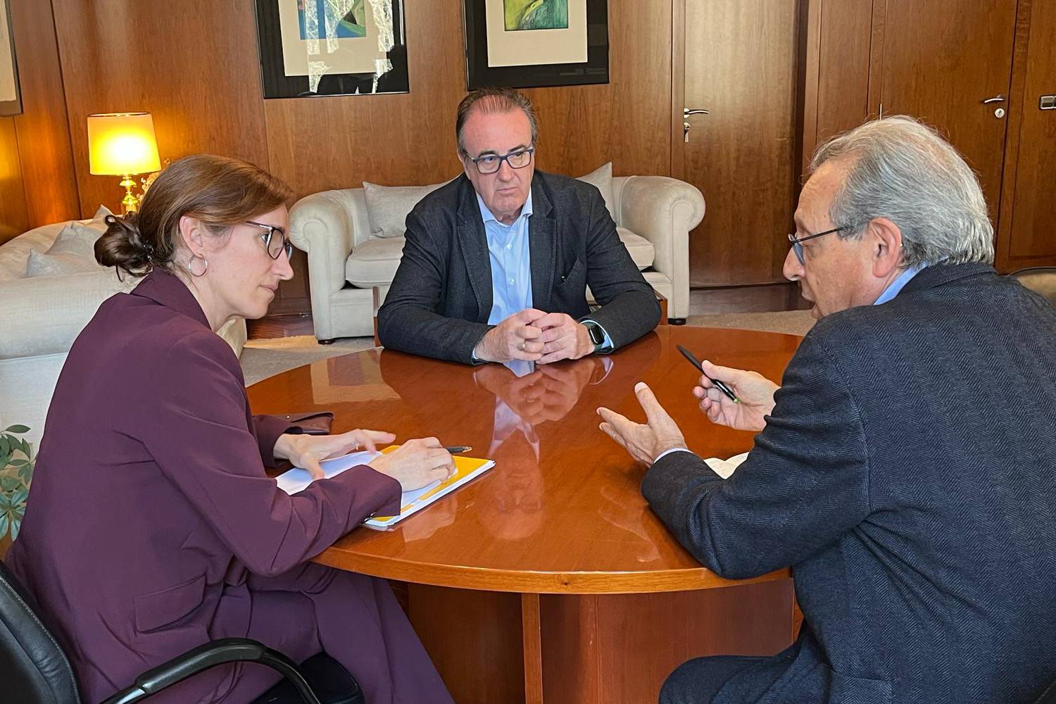 La ministra de Sanidad, Mónica García, en la reunión con Tomás Toranzo (derecha), presidente de CESM, y Víctor Pedrera (centro), vicesecretario general del sindicato médico. Foto: CESM. 