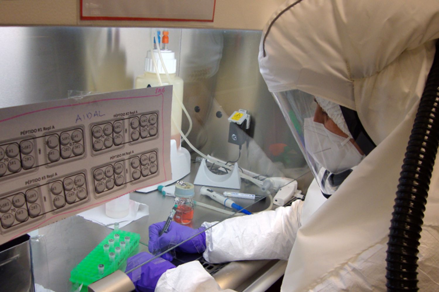 Una investigadora trabaja en el laboratorio de contención biológica del CBM-CSIC-UAM. Foto: CBM-CSIC-UAM. 