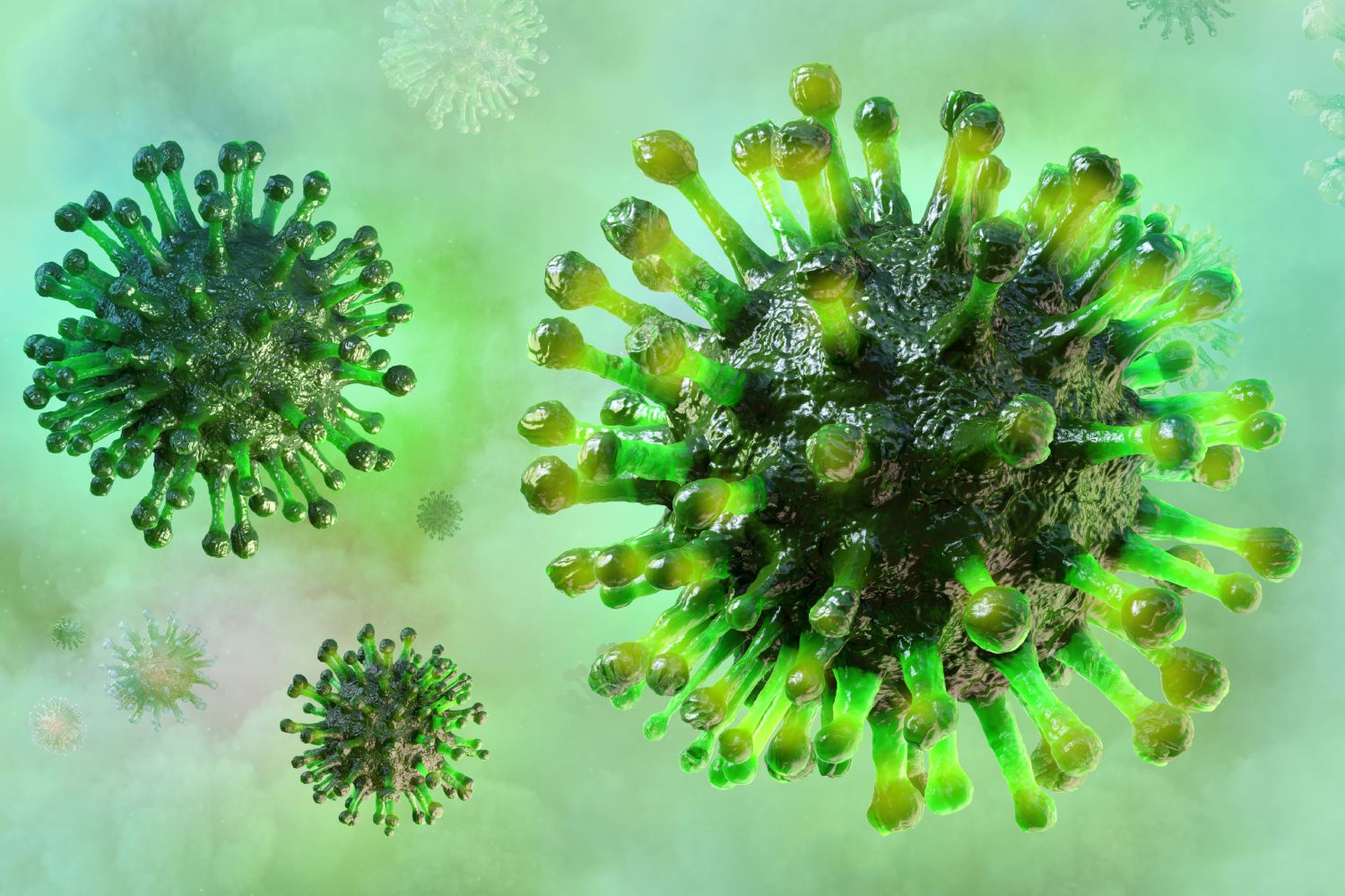 Numerosos virus son candidatos a protagonizar la potencial próxima pandemia. Foto: SHUTTERSTOCK. 