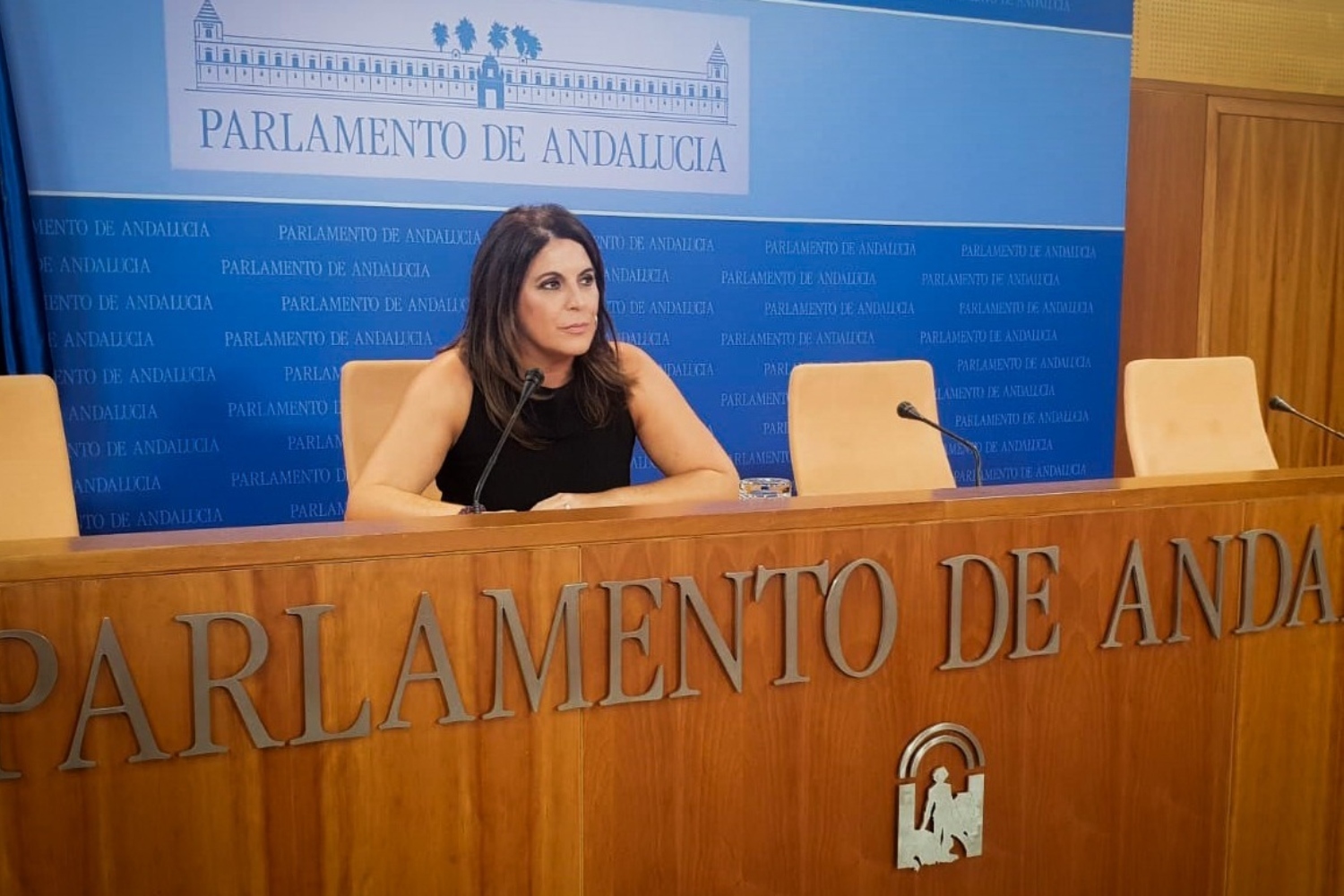 Ángeles Férriz, portavoz del Grupo Socialista, en la rueda de prensa ofrecida el miércoles en el Parlamento de Andalucía. Foto: PSOE-A.