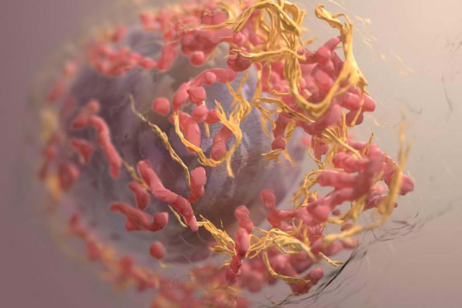 La FDA autoriza una inmunoterapia basada en el virus del herpes para melanoma refractario