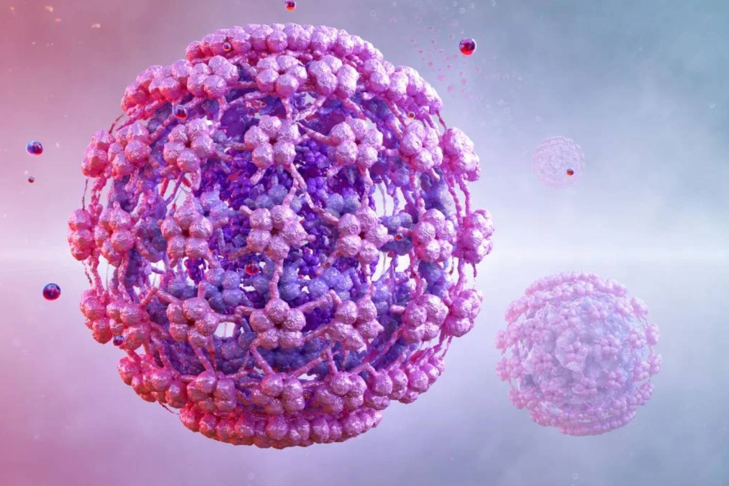 Galicia extiende la vacunación contra el VPH en hombres hasta los 25 años