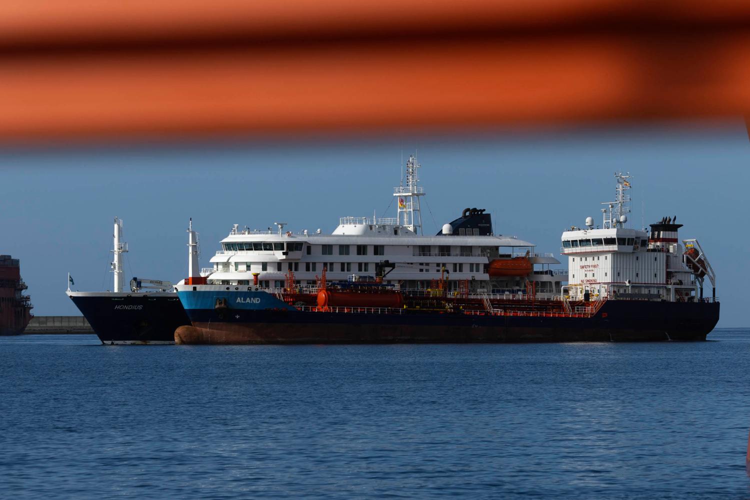 Operativo de captura de roedores en Ushuaia no logra resultados