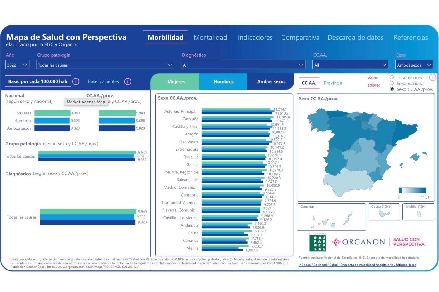 Este mapa permite analizar datos y ver desigualdades de forma sencilla.