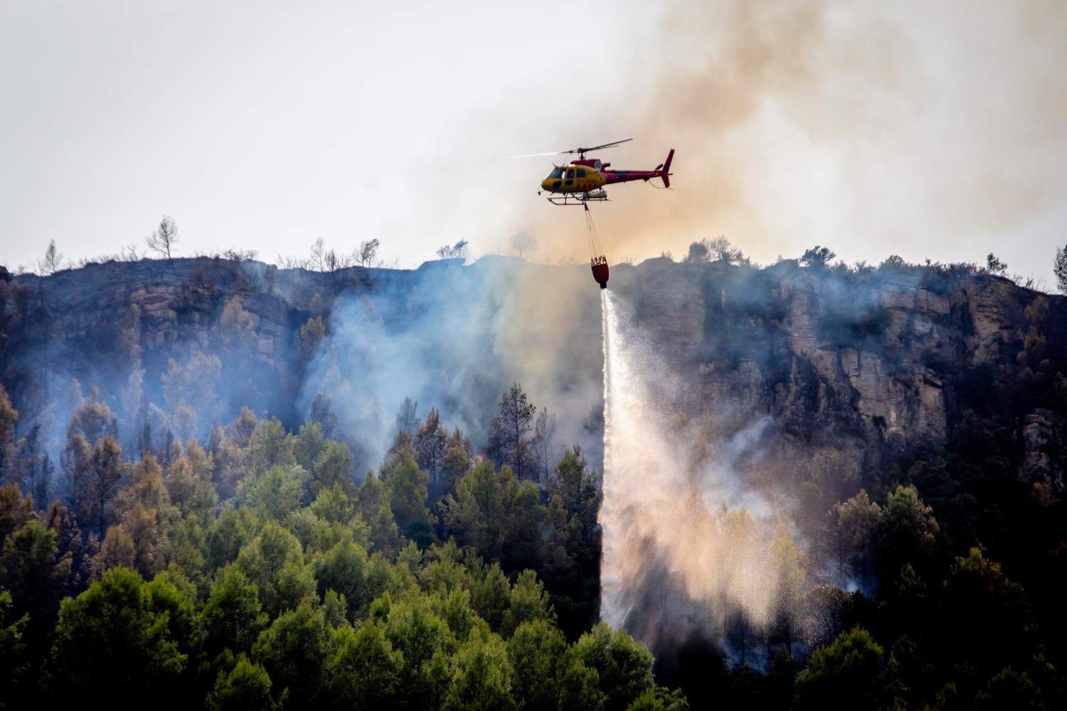 Incendios: guía para afrontar la 'tormenta' de partículas y gases
