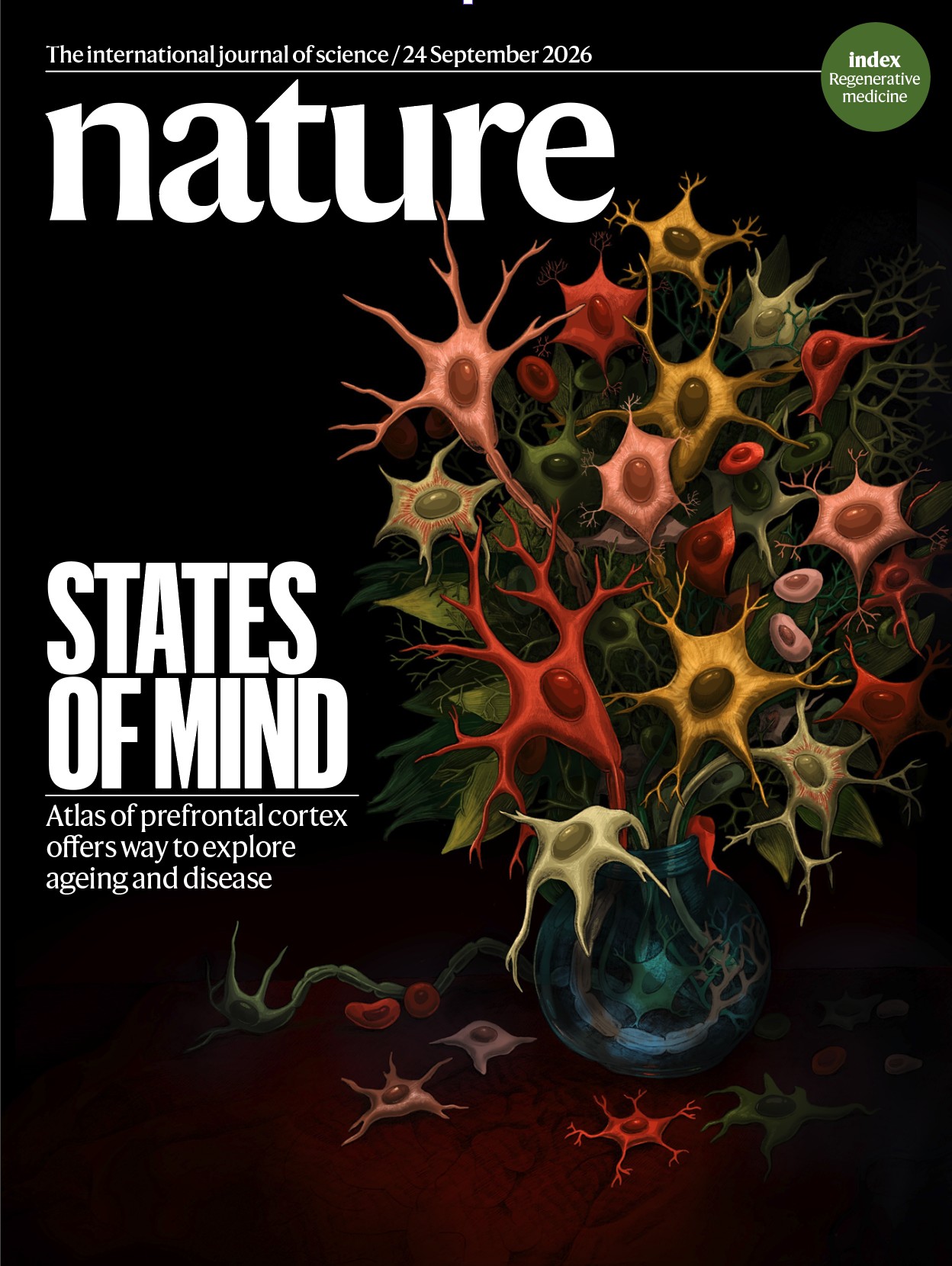 Portada de 'Nature'