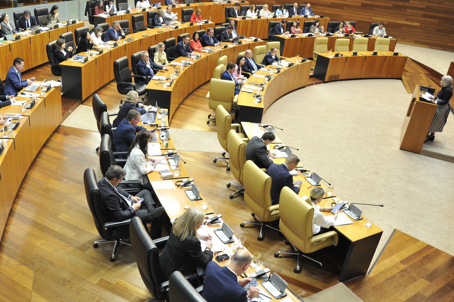 Extremadura: el Pleno rechaza la propuesta de un Plan Integral de Refuerzo de AP
