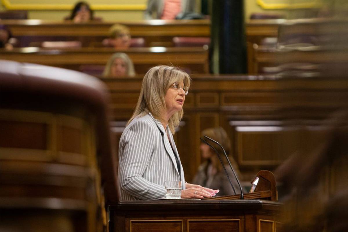 Elvira Velasco, diputada del PP. Foto: CONGRESO DE LOS DIPUTADOS