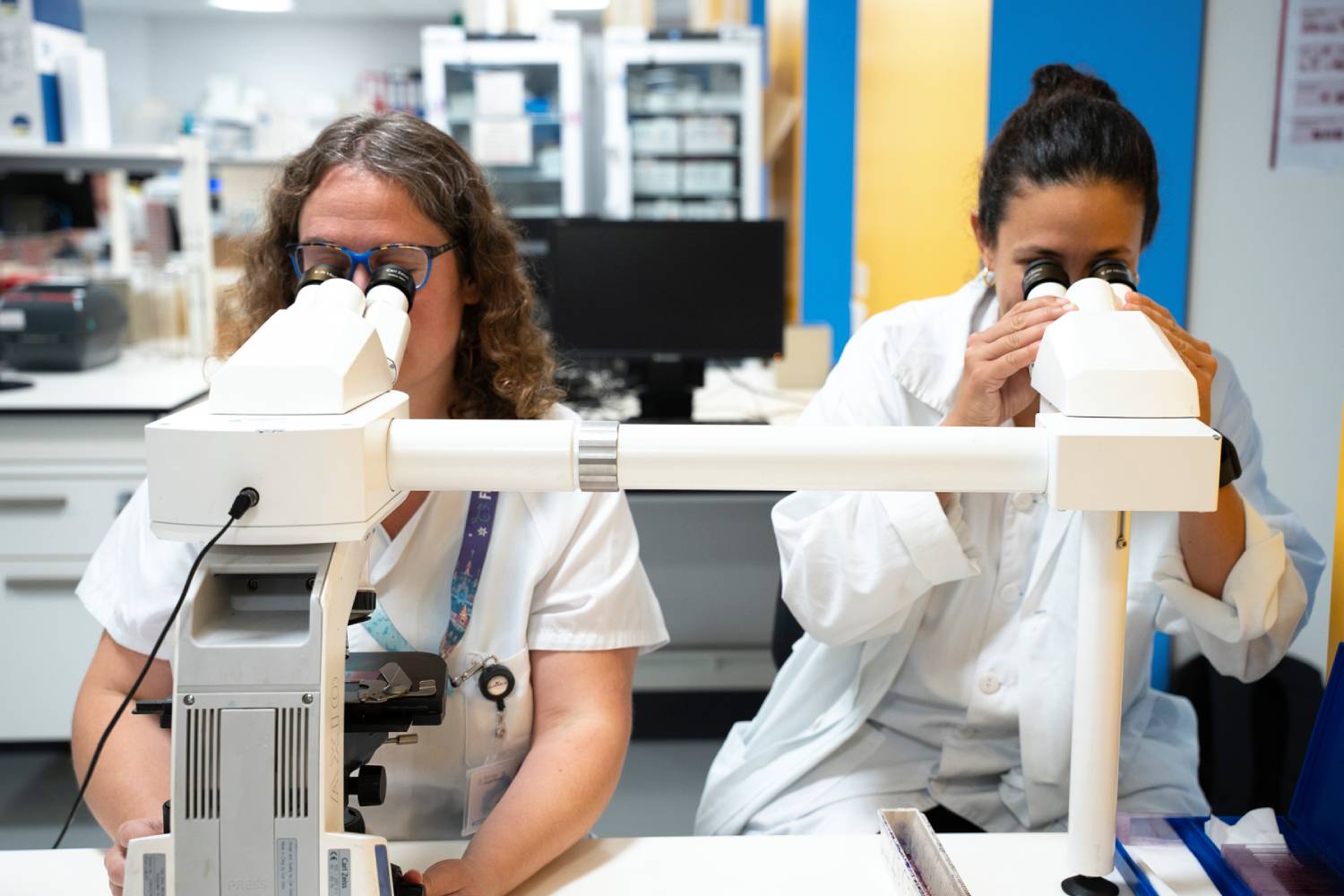 Meningitis: Bellvitge reconstruye 50 años de evolución del neumococo