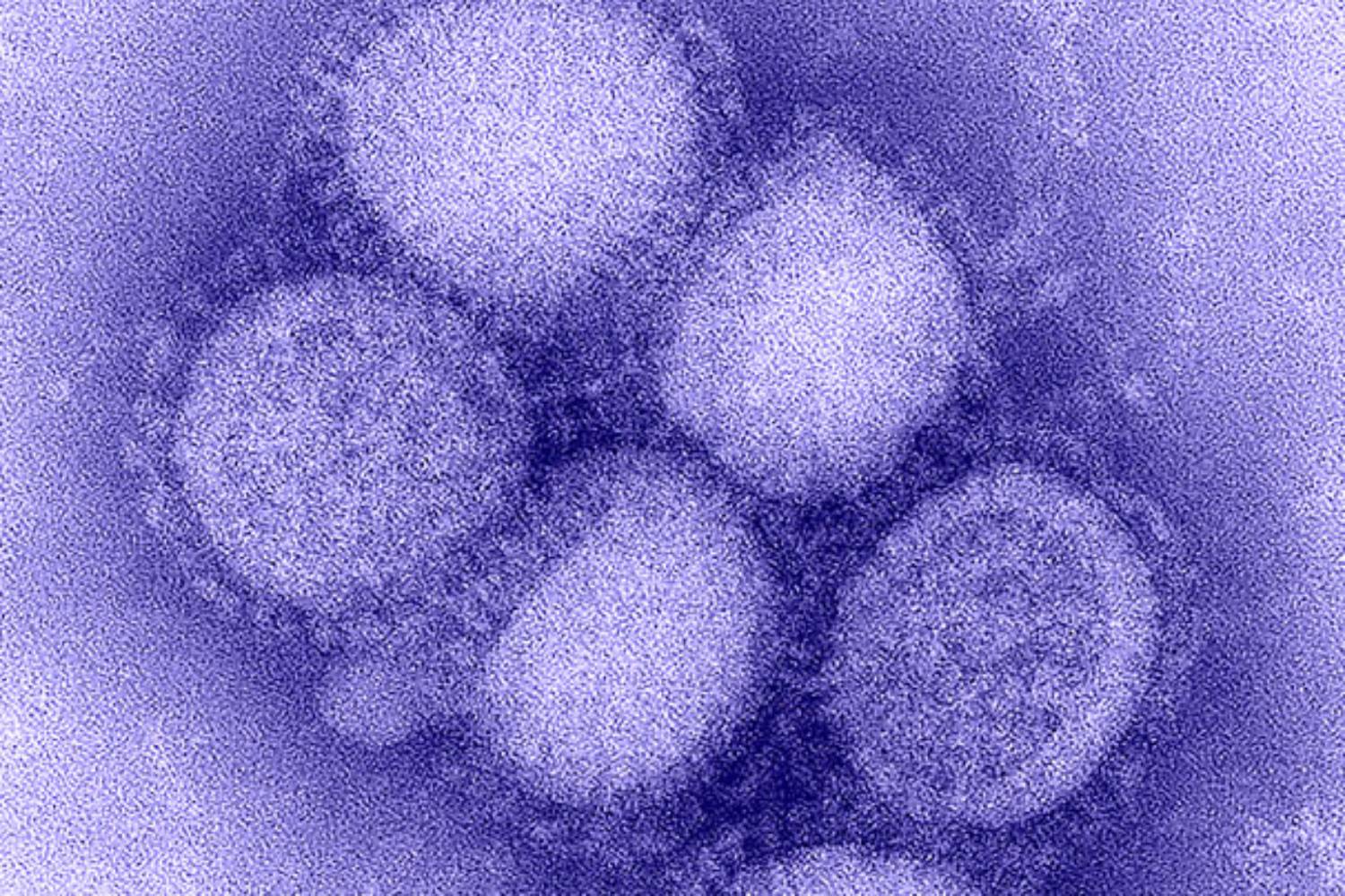 Llega a España 'Xofluza' (baloxavir marboxil), el primer antiviral para gripe en 20 años