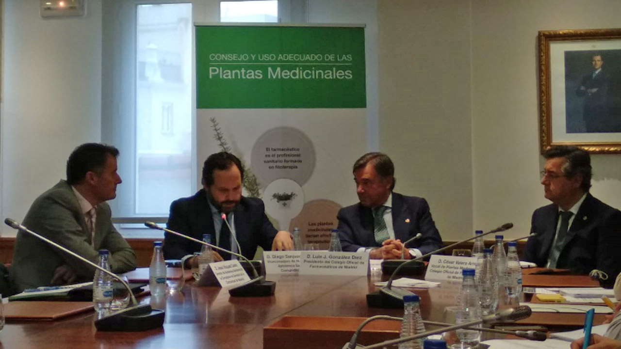 Representantes de los farmacéuticos y de los médicos de Madrid durante el encuentro que ha tenido lugar este miércoles. 