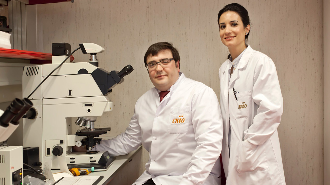 David Olmos y Elena Castro, de la Unidad de Investigación Clínica de Cáncer de Próstata del CNIO. 
