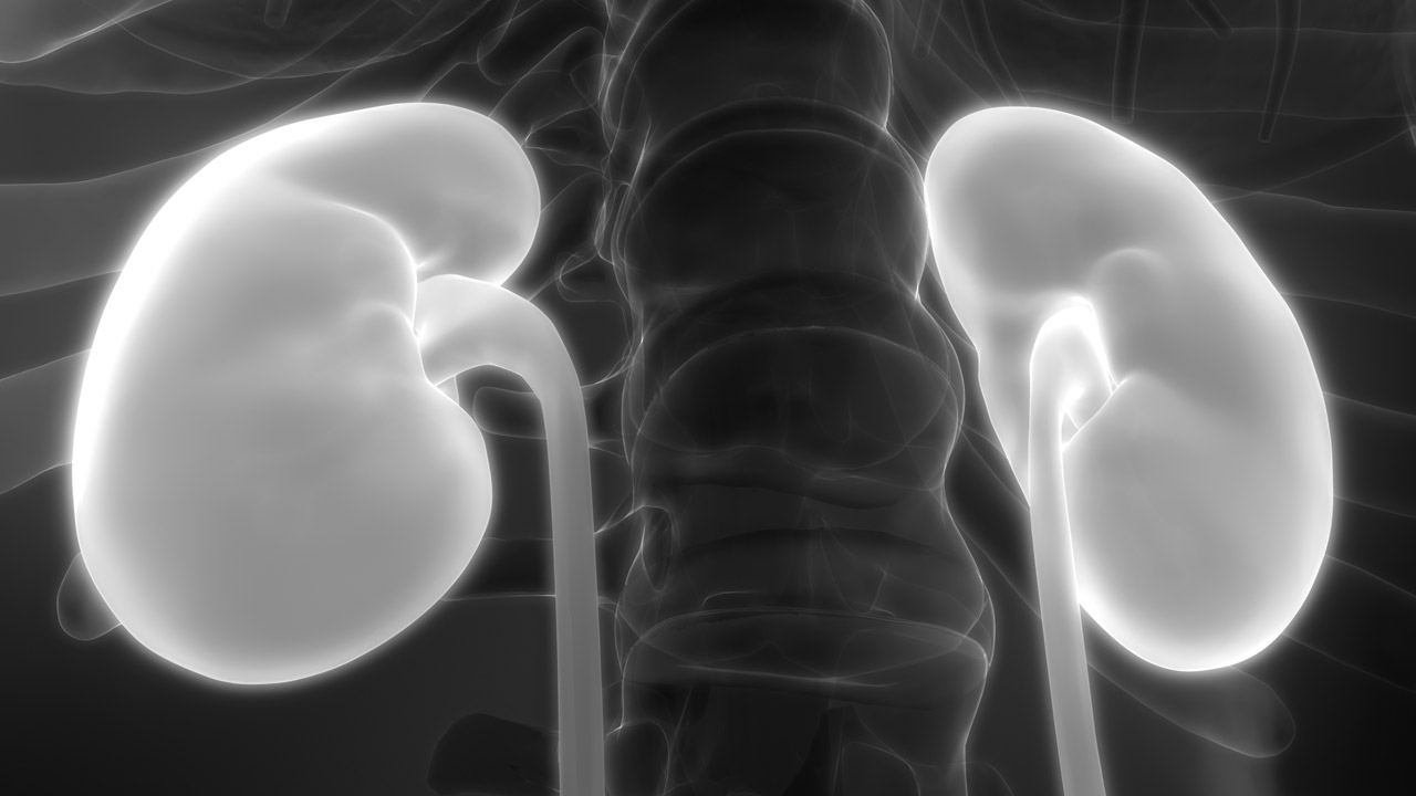 Algunas enfermedades raras, como la de Fabry, pueden sufrir afectación renal. 