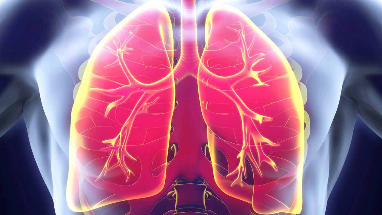 El Área de Enfermería Respiratoria de la Separ está desarrollando un documento formal que se llevará a Sanidad y justificará la importancia de crear diplomas de acreditación para la Enfermería respiratoria. 