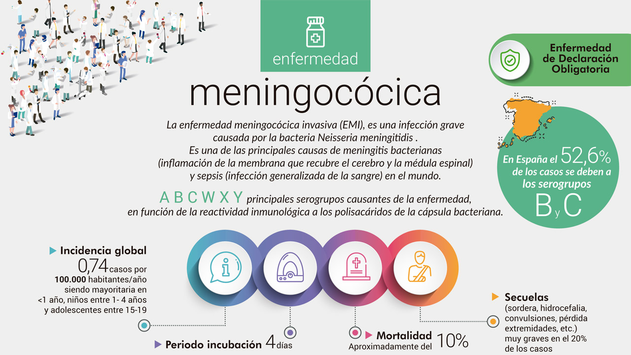 Infografía sobre enfermedad del meningococo. 
