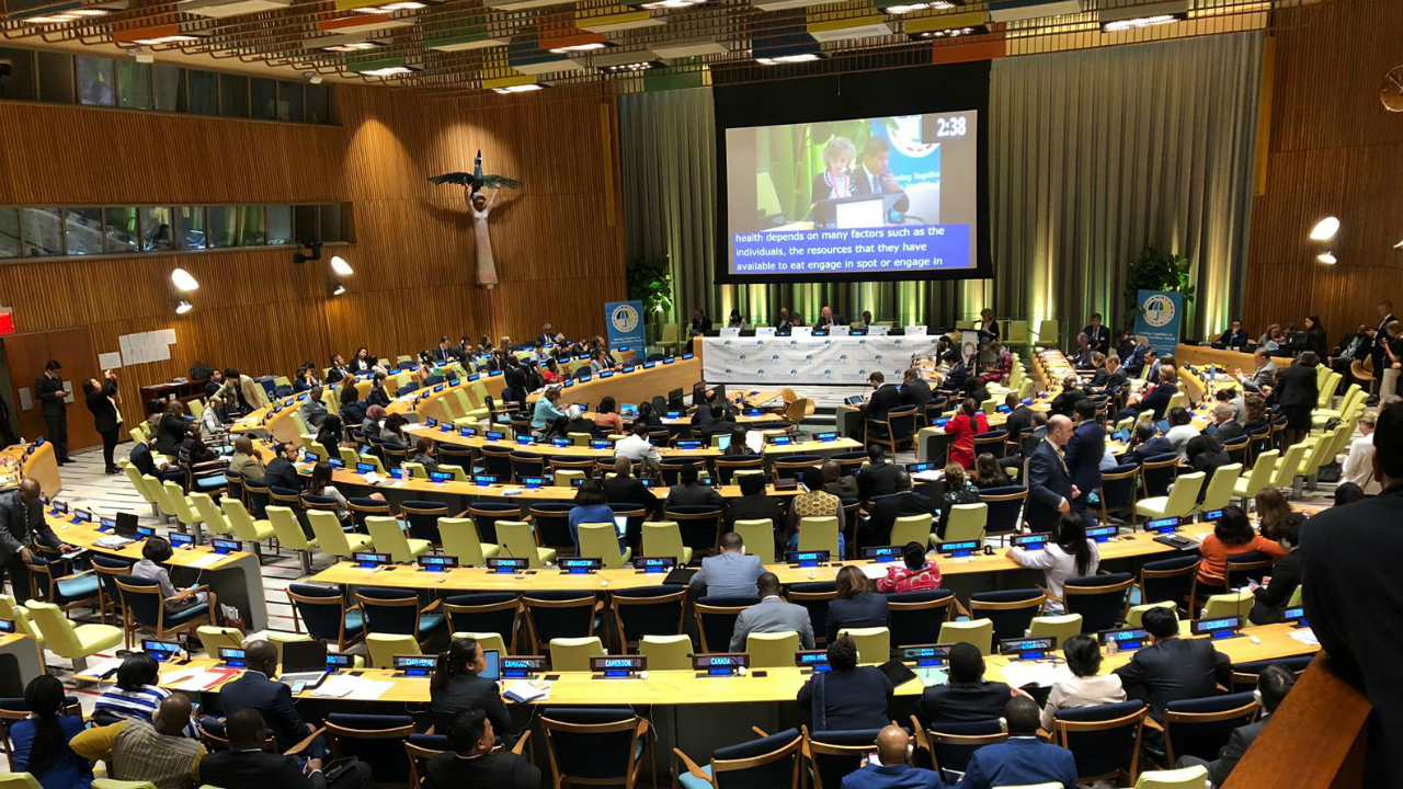 Intervención de la ministra interviene en la Asamblea General de la ONU 