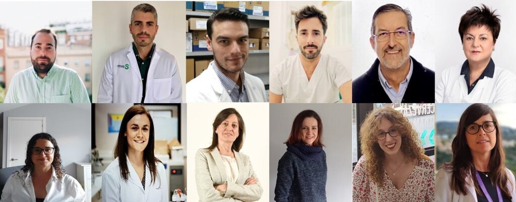 José Manuel Caro, Sergio Plata, Juan Manuel Rodrguez, José Javier Arenas, Gerardo Cajaraville, Mara José Otero, Gemma Martnez, Helena Esteban, Montserrat Pérez, Mara José Fernández, Carmen Mara Cuadros y Begoña Tortajada, integrantes del Grupo de Seguridad Clnica de la SEFH.