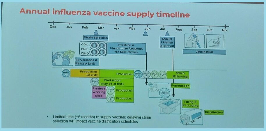 'Time-line' para suministrar la vacuna de la gripe. Gráfico: SEQIRUS.