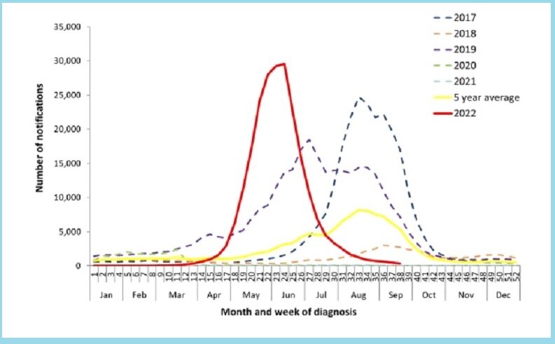 Casos de gripe confirmados en Australia entre el 1 de enero de 2017 y el 25 de septiembre de 2022. Fuente: SEQIRUS.