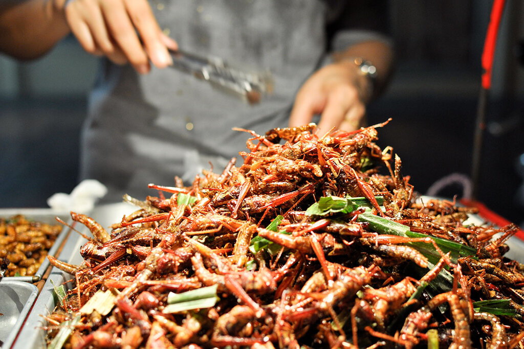 Los saltamontes son un alimento comÃºn en diversas partes del mundo.
