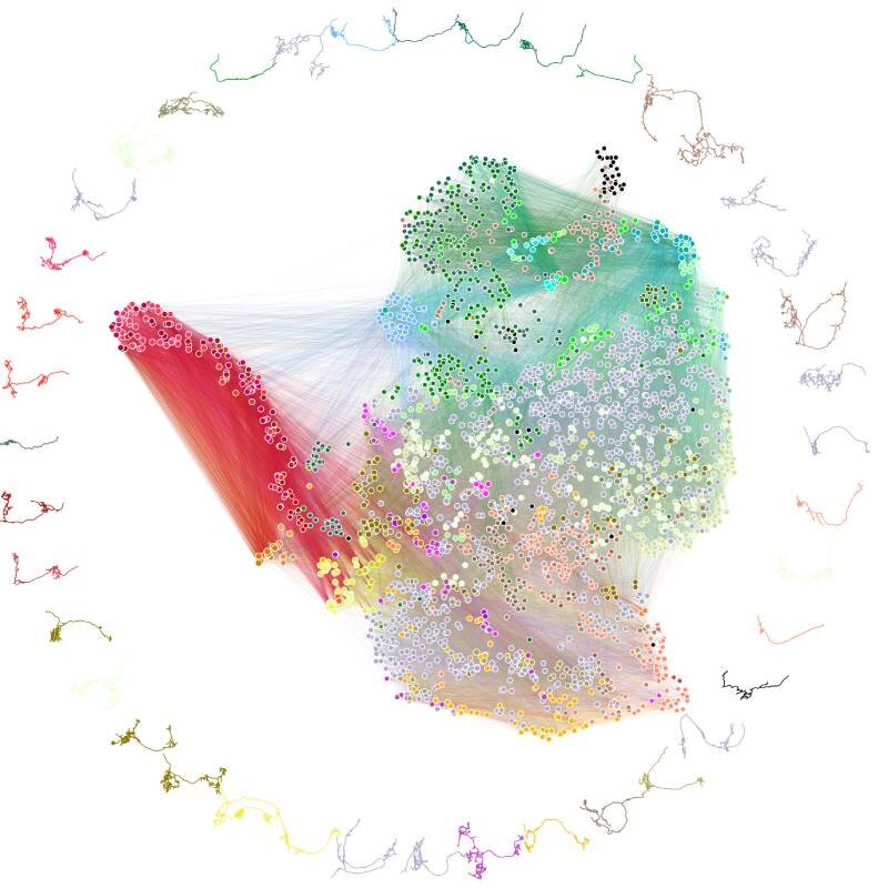 Diagrama de Benjamin Pedigo de las conexiones neuronales de la larva de la mosca del vinagre.