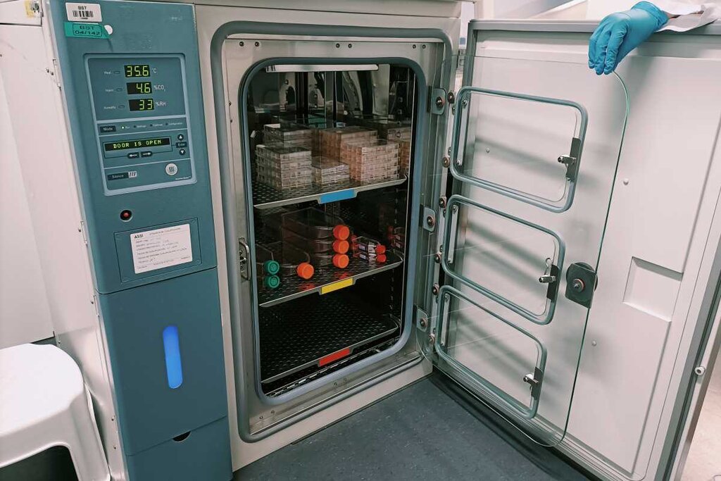 Incubadora del BST de CataluÃ±a. Foto: BANC DE SANG I TEXITS