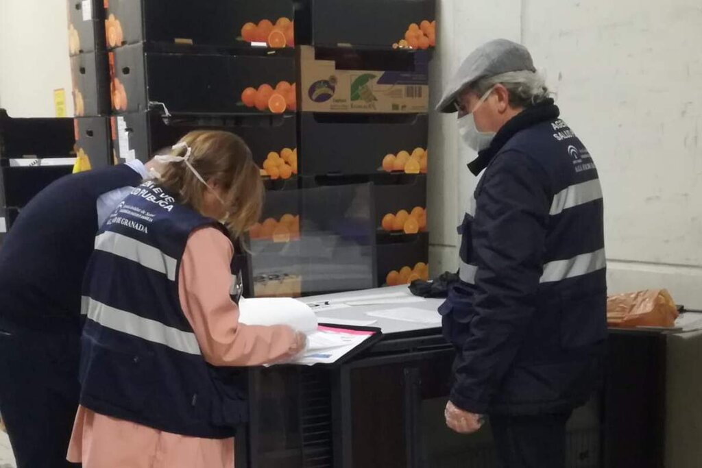 Una farmacéutica y un veterinario de Salud Pública realizando un control de trazabilidad de fruta en una lonja de Granada.