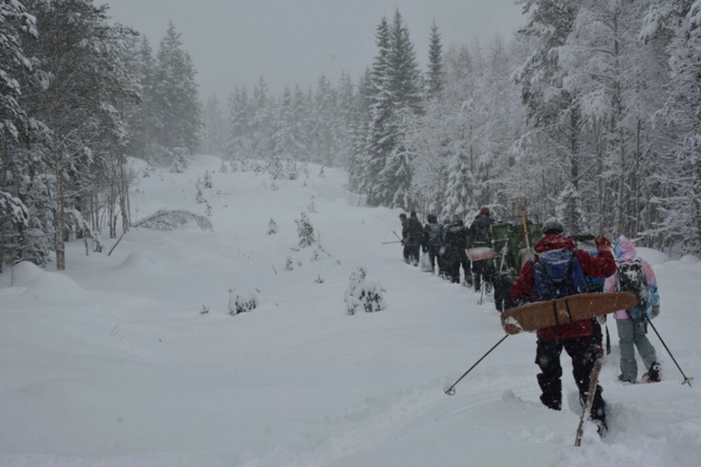 Los investigadores caminan por el bosque nevado con su equipo. Foto: T. PETZOLD.
