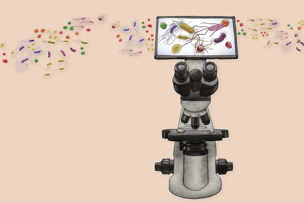 Tras los estragos causados por la covid-19, la comunidad cientfica cree que la aparición de superbacterias y la resistencia a la antibioterapia será la próxima ‘pandemia silenciosa’. Ilustración: GABRIEL SANZ.