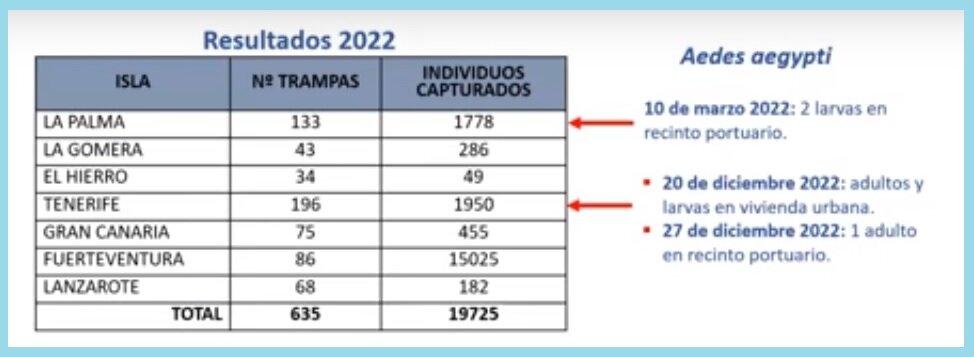 Mosquitos 'aedes aegypti' detectados en Canarias en 2022. Fuente: SERVICIO CANARIO DE SALUD.