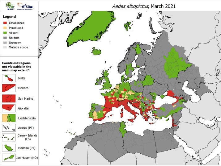 Presencia del 'aedes albopictus' mÃ¡s allÃ¡ de EspaÃ±a, en marzo de 2023. Fuente: ECDC/ EFSA.