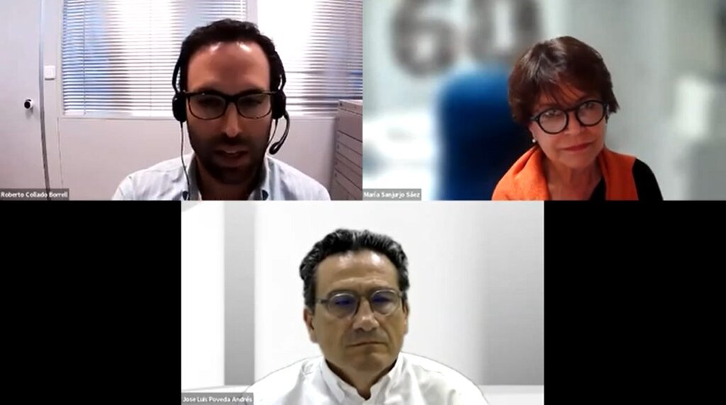 Roberto Collado, Mara Sanjurjo y José Luis Poveda durante el 'webinar'.