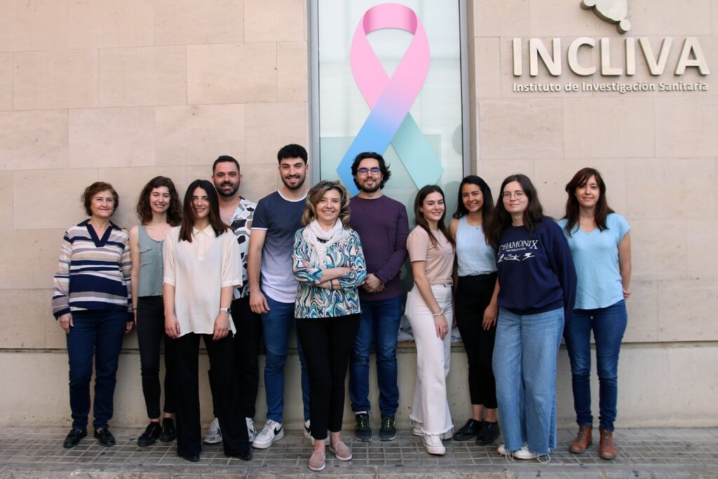 Grupo de Investigación de Deterioro Neurológico del Incliva.