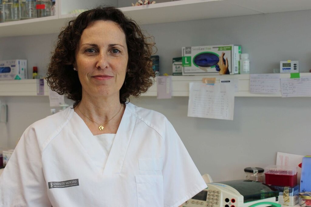 Pilar Sepúlveda, responsable del Grupo de Investigación en Regeneración y Trasplante Cardiaco del IIS La Fe de Valencia. Foto: ISS La Fe. 