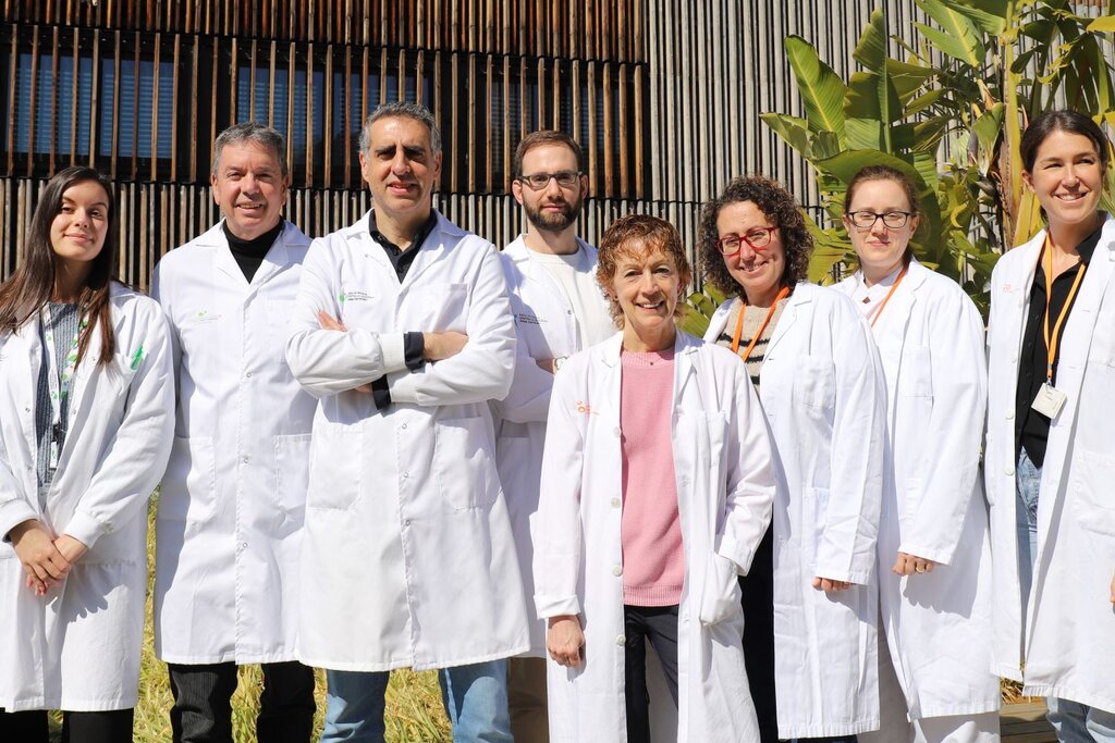 Grupo de Manel Esteller, en el centro de la imagen, que ha llevado a cabo la investigación. Foto: IJCLL. 