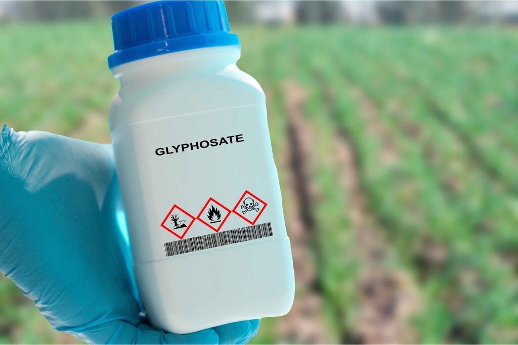 Europa sí ha introducido nuevas restricciones al uso del glifosato, aunque no lo haya prohibido. Foto: SHUTTERSTOCK