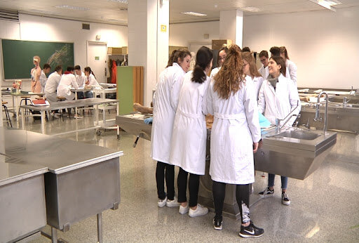 Varias alumnas de la Facultad de Zaragoza hacen prácticas en la sala de disección del centro. Foto: FACULTAD DE ZARAGOZA.