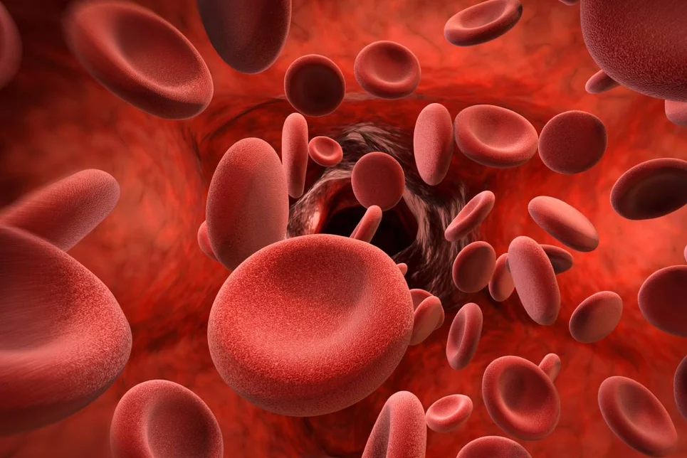 La hematología es una de las especialidades que más se ha desarrollado en los últimos años