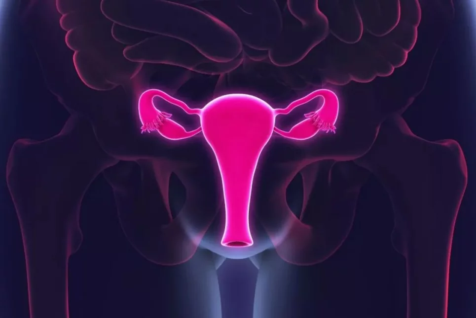 El cáncer de endometrio es el segundo ginecológico más frecuente en países desarrollados. FOTO: DM. 