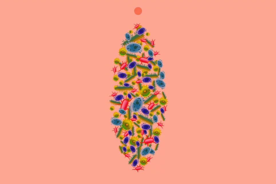 La alteración de la microbiota intestinal puede provocar enfermedades como candidiasis, vaginosis citolítica o vaginitis bacteriana. Ilustración: GABRIEL SANZ.