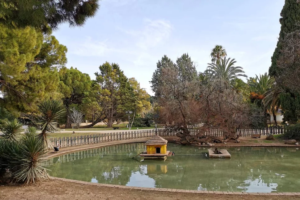 El estanque del jardín botánico de Zaragoza será reubicado en la reforma. Foto: AYUNTAMIENTO DE ZARAGOZA.