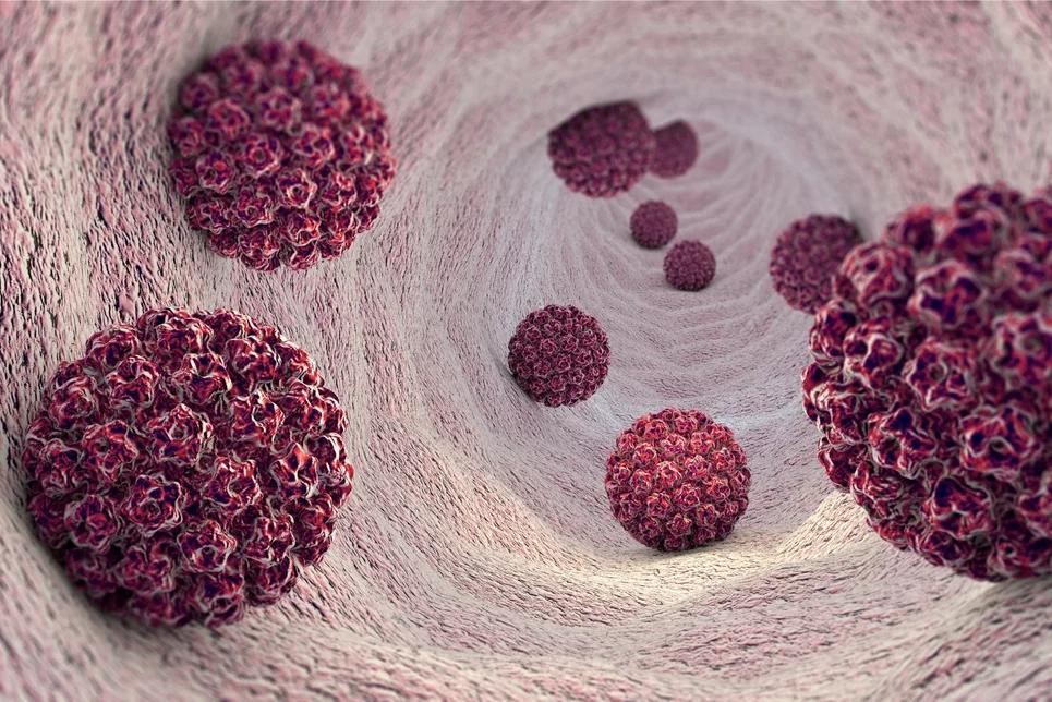 Hasta un 80% de las personas contraerán el VPH en algún momento de su vida. Foto: SHUTTERSTOCK. 